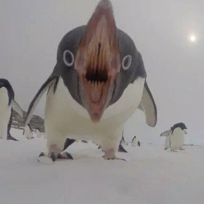 chaeluv_v's profile picture. 냉무