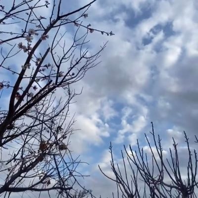 Areeenahmed's profile picture. Architect to be👷🏽‍♀️