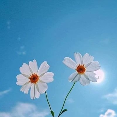 Deepali_Rocks's profile picture. In search of KnowLedge 🕵️