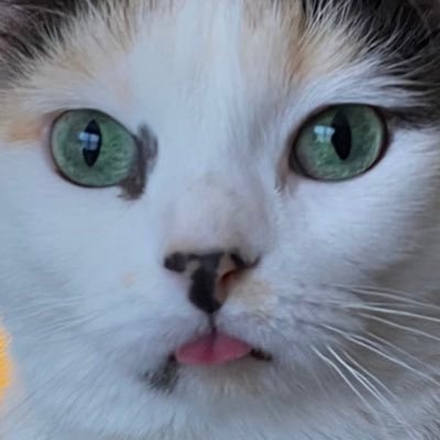 cherpumpled's profile picture. even unlikable things have worth