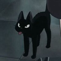 🤍White Blood🐈⬛ (@033_serotonin) 's Twitter Profile