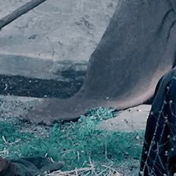 LuxieeLux's profile picture. 