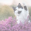 Helene Blake - @HeleneB09856326 - Twitter