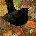 ria - @wattemeer - Twitter