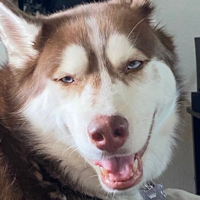 andrewblegh's profile picture. Melissa ♡