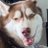 andrewblegh's profile image
