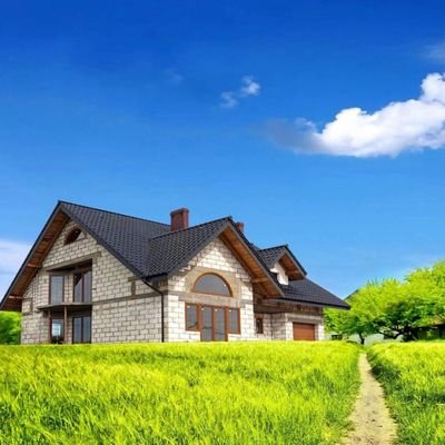 lizhengy745's profile picture. 