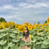 Piktesli Öğretmen 🌻 (@pictesogretmeni) Twitter profile photo