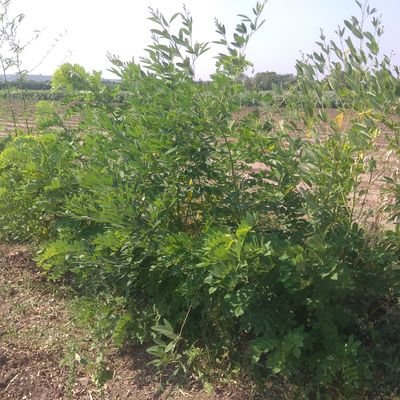 hits7772's profile picture. 