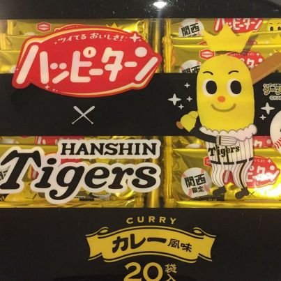 子供と一緒に阪神応援してます🐯