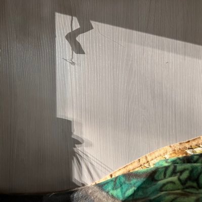 ffmrkyo's profile picture. 