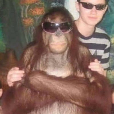 RamosHenry10's profile picture. 