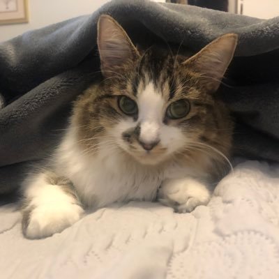 SandraFitzGibb1's profile picture. 