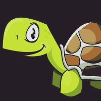 Dear Turtles 🐢🐢(@DearTurtles) 's Twitter Profile Photo