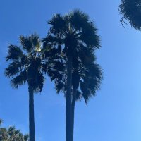 Freedom (@briang81023209) 's Twitter Profile