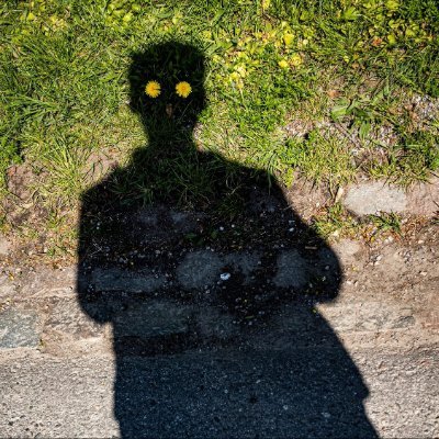 Winslow 🧙‍♂️🌻さんのプロフィール画像