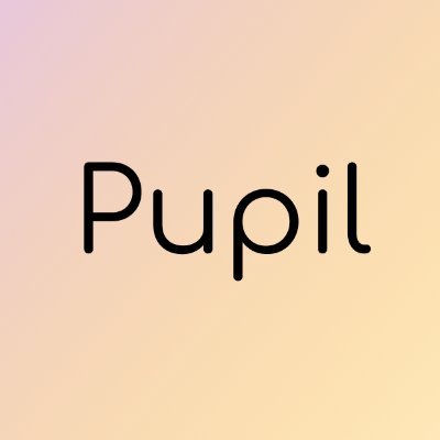 Pupil Profile