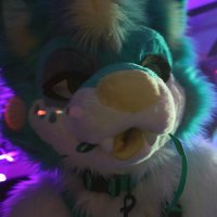 dork doggo (@miles_fusky) 's Twitter Profile