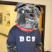 Bolton Center School CT (@boltoncenterct) Twitter profile photo Bolton Center School CT (@boltoncenterct) Twitter profile photo