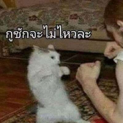 KhrabNik's profile picture. ไม่มีอะไร ครับ