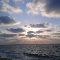 Ali Mahmoud (@alprof_ali) Twitter profile photo