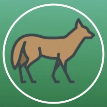 ForestTrailPS Profile Picture