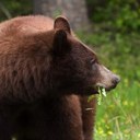 Doug Wade - @Doug_Wade - Twitter