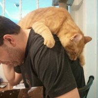 Irwinator (@jirwinnxtfan) 's Twitter Profile Photo