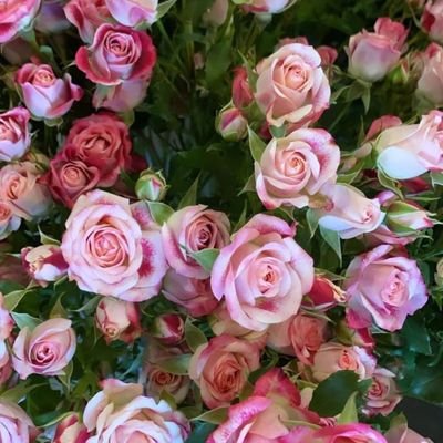 استشارية طب نفسي جسدي
consultation liaison psychiatry.
interested in Psycho-oncology