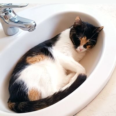 matarabadanfl's profile picture. 