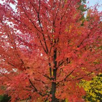 Keep your head on a swivel (@pureblood617) 's Twitter Profile Photo