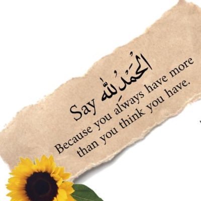 Noor_redline's profile picture. 