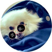 雲雀。 (@h1_2jiso) 's Twitter Profile Photo 雲雀。 (@h1_2jiso) 's Twitter Profile Photo