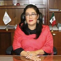 Larisa Ortiz Quintero(@LarisaOrtizMx) 's Twitter Profile Photo