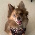 Marble (@marble_tk) Twitter profile photo Marble (@marble_tk) Twitter profile photo