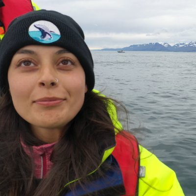 Vet and PhD candidate at @Norduniversitet | @WhaleExhale
Studying the effects of pollutants and infectious disease on the health of whales 🐳🇳🇴