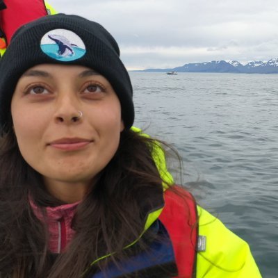 Vet and PhD candidate at @Norduniversitet | @WhaleExhale 
Studying the effects of pollutants and infectious disease on the health of whales 🐳🇳🇴