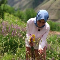 Tuğbansn (@hannetuba) Twitter profile photo