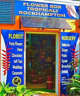 FlowerboxTrop's profile picture. The Freshest, Funkiest and Best Flowers available
We are a successful Florist and Tropical Nursery
You can Order Online or Call or Drop into our Shop