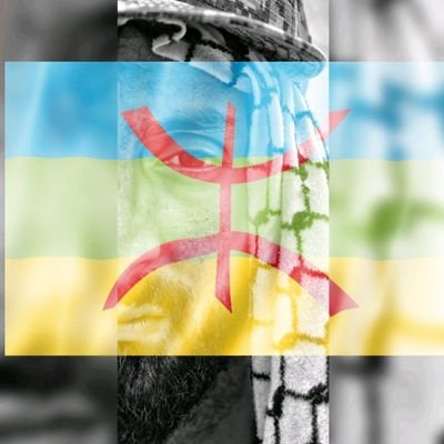 Activist
Humanitarian
Advocate 
Muslim
Amazigh 
Poet
*Views expressed on this page are  personal and DO NOT represent any organisation I may be associated with*