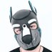 iridiumwolf (@iridiumthealpha) Twitter profile photo iridiumwolf (@iridiumthealpha) Twitter profile photo