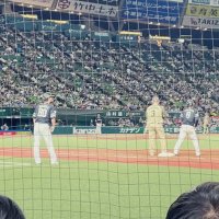 tuna (@yukiyomiti) 's Twitter Profile