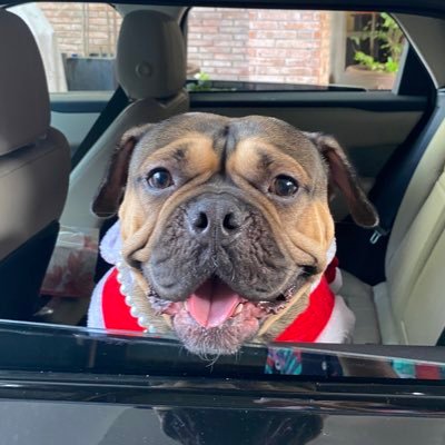 micoconutsss's profile picture. 