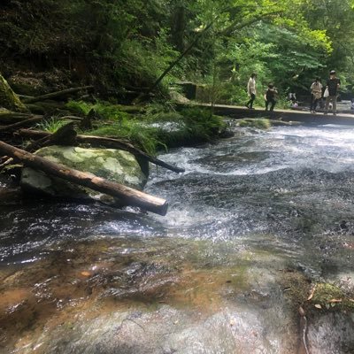 鹿児島在住 個人で仕事してて、自由はききます。あと出張で九州走り回ってます。