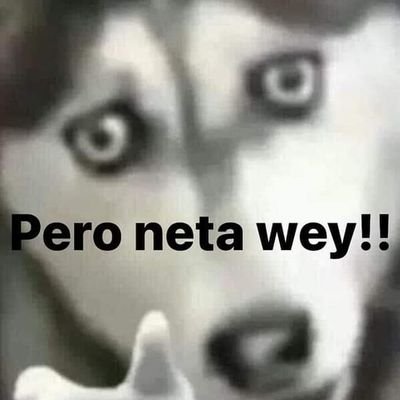 ManuelC29304339's profile picture. 