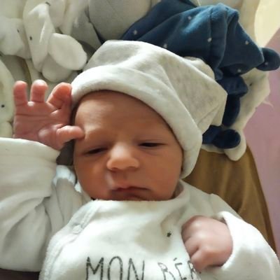 DesmoTom899's profile picture. Passionné des sports mécaniques et des JEUX VIDÉO depuis tous jeune. PC R6S CSGO , #ProCasuSoloQ, Modo chaine twitch de @shaiiko_  et @RickiFPS