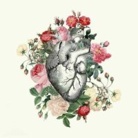 طُـمَأْنـيِنَـة (@sss1_aaa11) 's Twitter Profile
