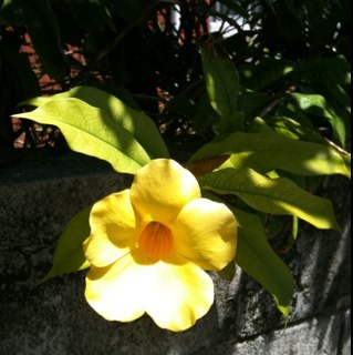 lay0la's profile picture. connecting the dots！