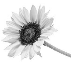 91lounge's profile picture. 🧜🏻‍♂️