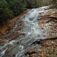 VerumOptimatium (@verumoptimatium) 's Twitter Profile